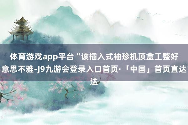 体育游戏app平台　　“该插入式袖珍机顶盒工整好意思不雅-J9九游会登录入口首页·「中国」首页直达
